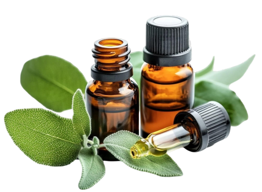 Oil bottles